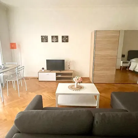 Fully Furnished Down Town- 5 Minutes From Train Station Apartment *